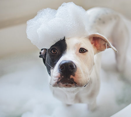 Rénover sa baignoire en famille